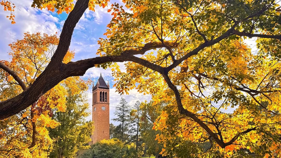 Post 8 by Iowa State University Ivy College of Business on Instagram (image)