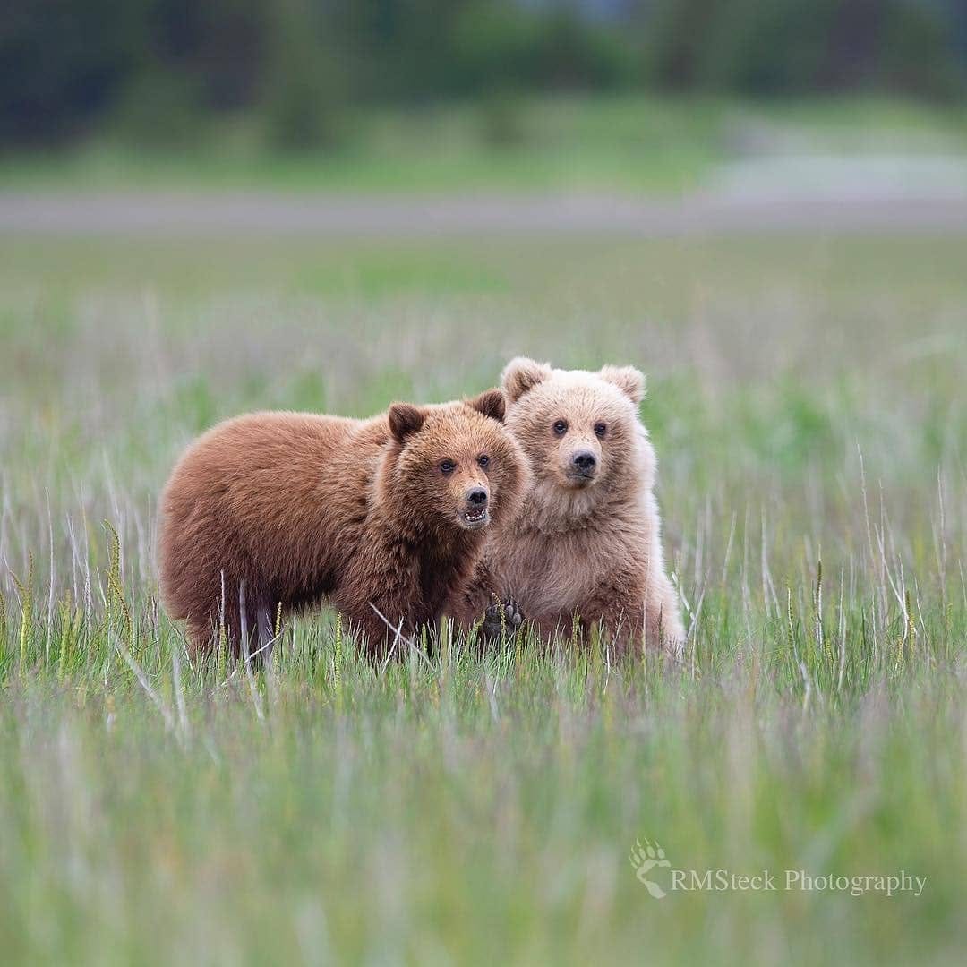 Post 4 by America | Travel |Art | Nature on Instagram (image)