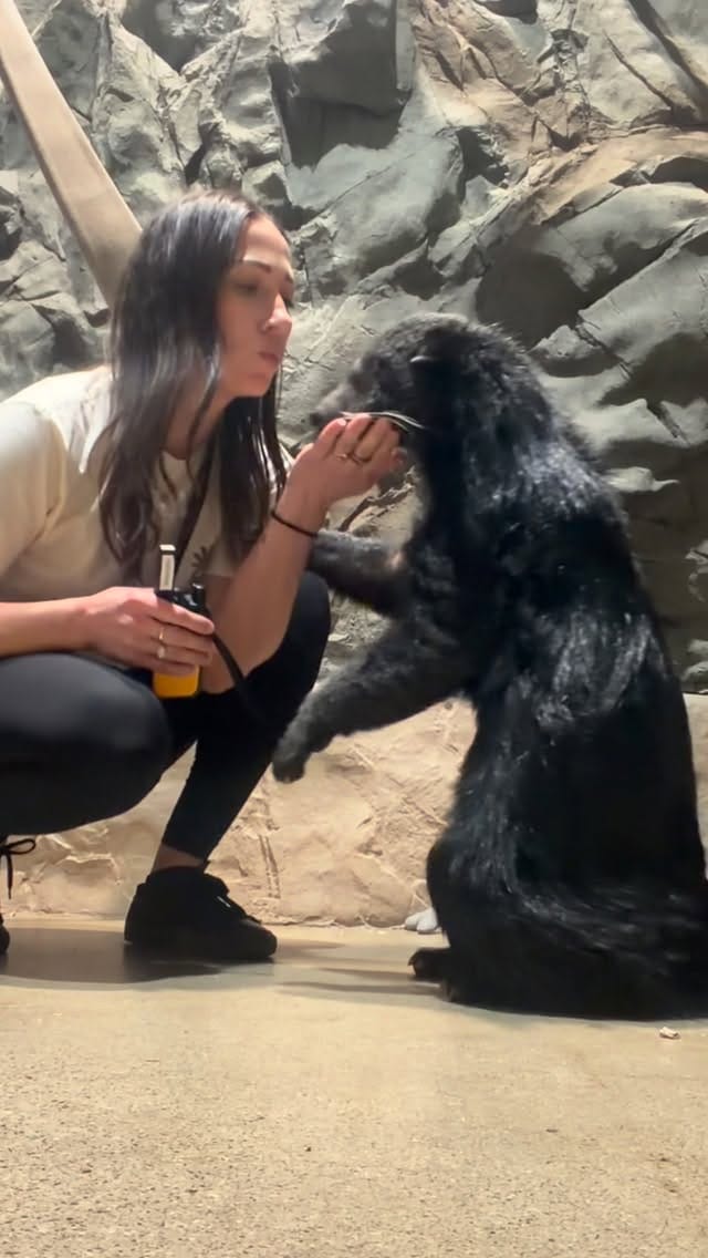 Post 8 by B R I A N   B A R C Z Y K on Instagram (video)