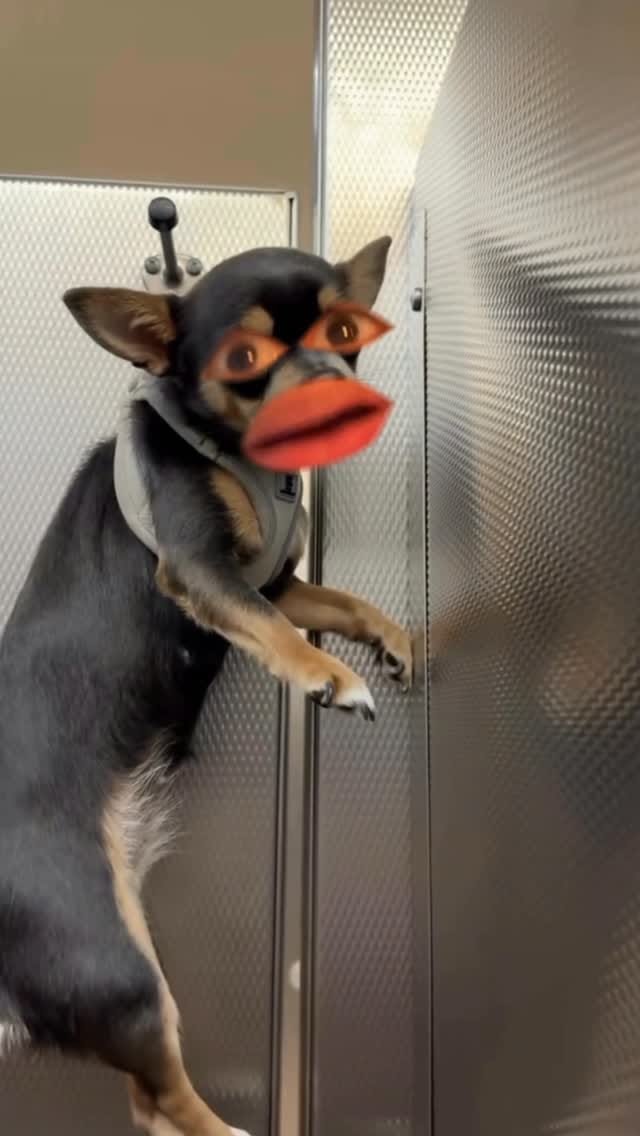 Post 8 by Julio Angel Muñoz on Instagram (video)