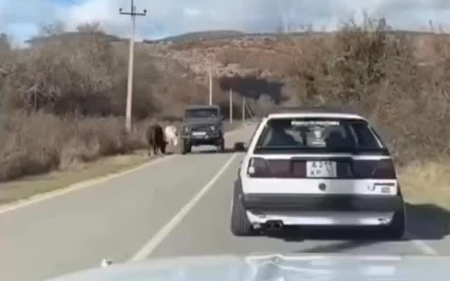 Post 3 by Julio Angel Muñoz on Instagram (video)