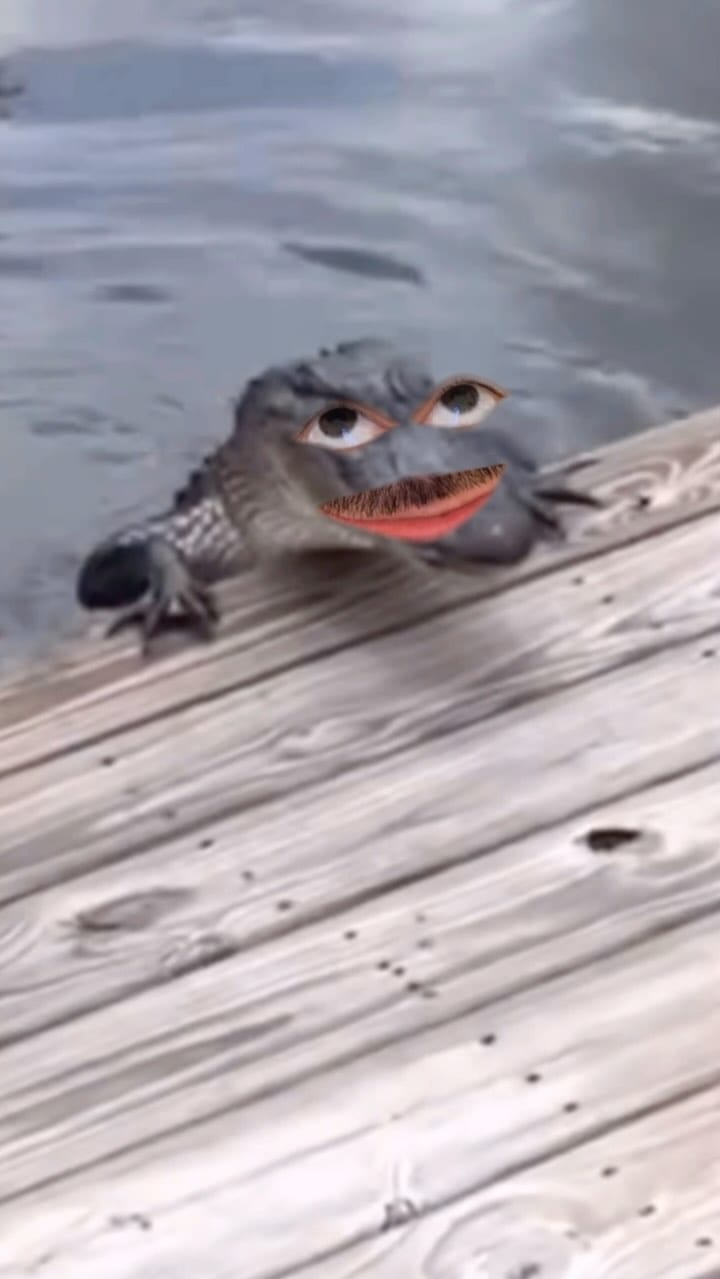 Post 9 by Julio Angel Muñoz on Instagram (video)