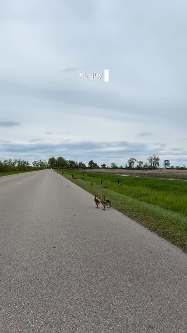 Post 3 by Back To The Wild on Instagram (video)