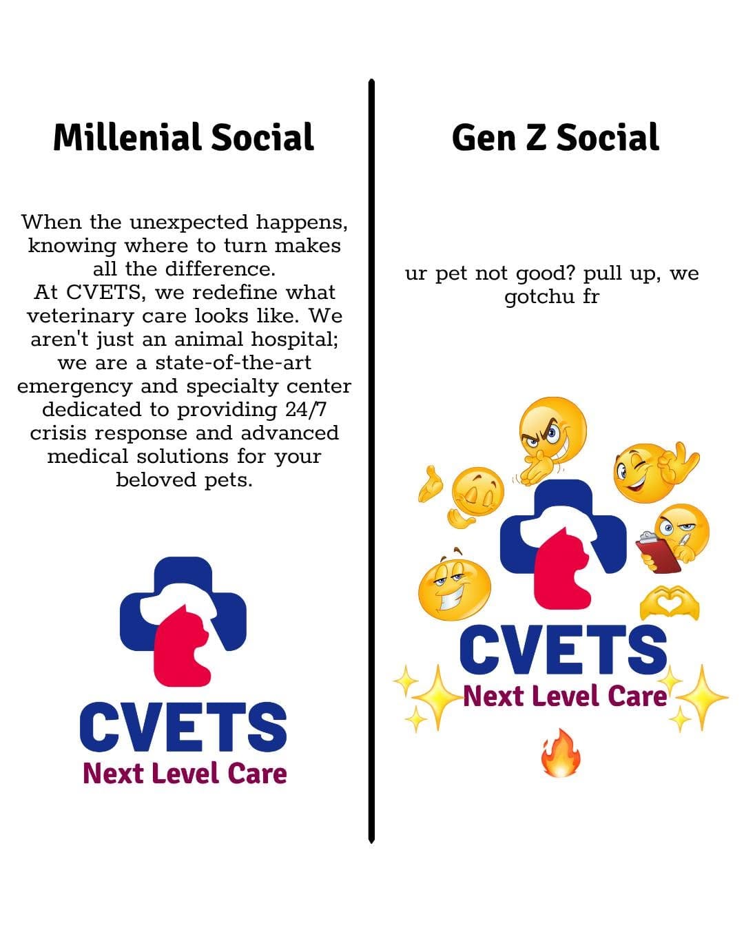 Post 3 by CVETS on Instagram (image)