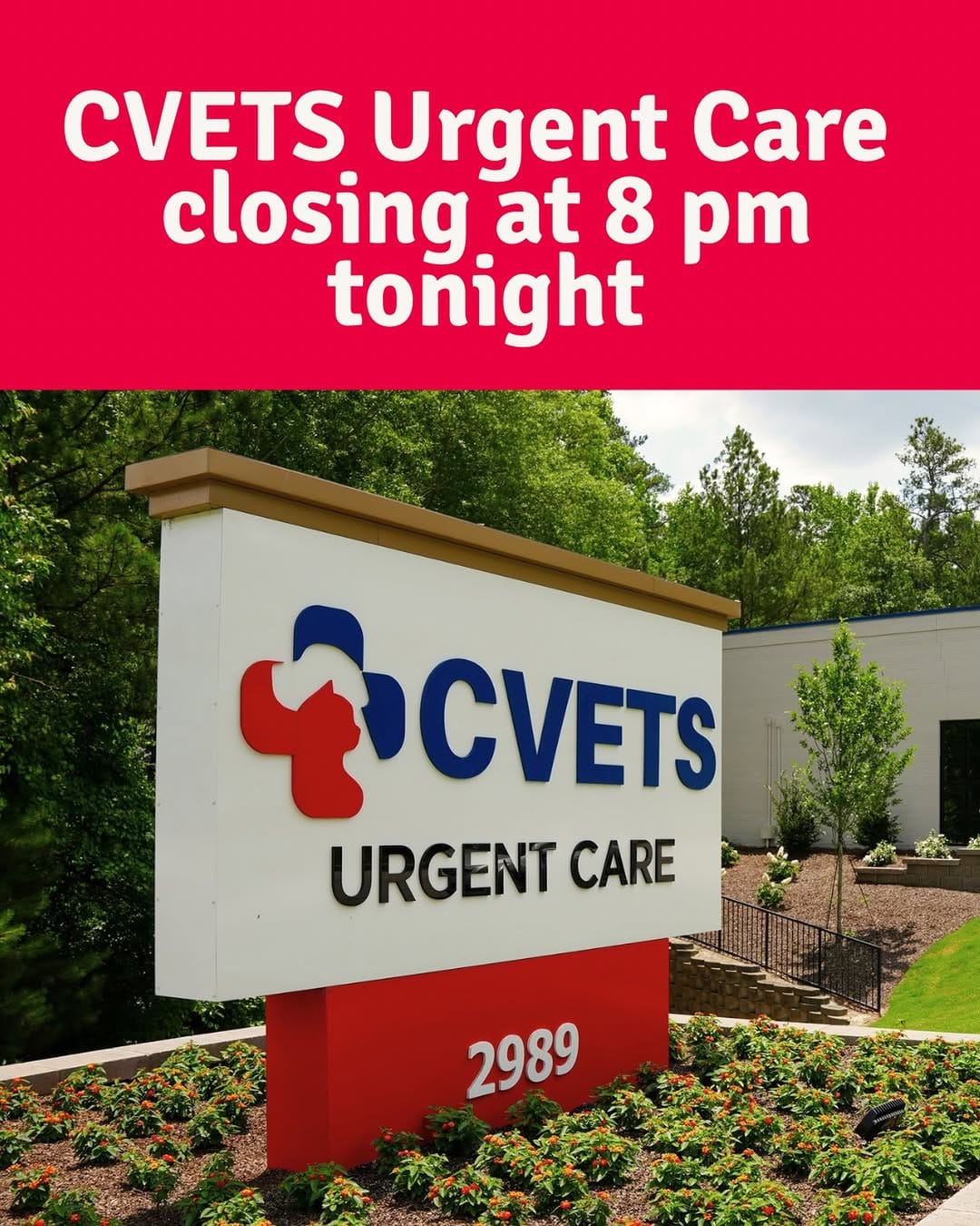 Post 6 by CVETS on Instagram (image)