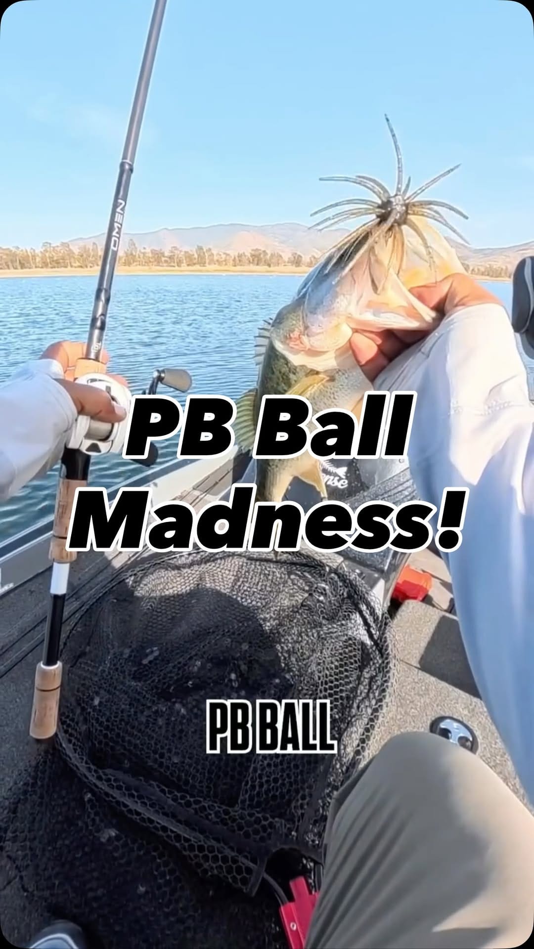 Post 4 by Andre Casey / Fishing Guide on Instagram (video)