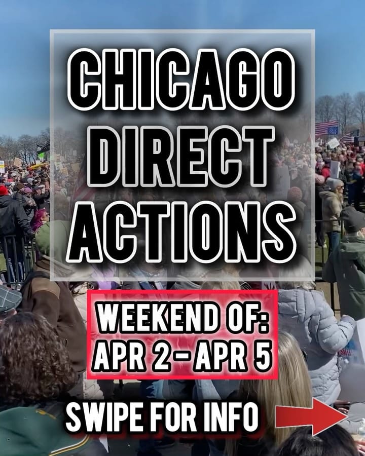 Post 8 by Chicago Actions on Instagram (carousel)