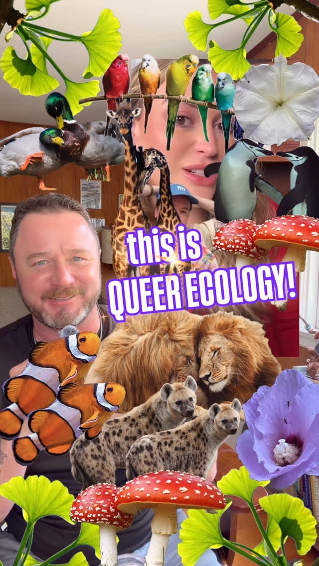 Post 9 by Jason Wise on Instagram (video)
