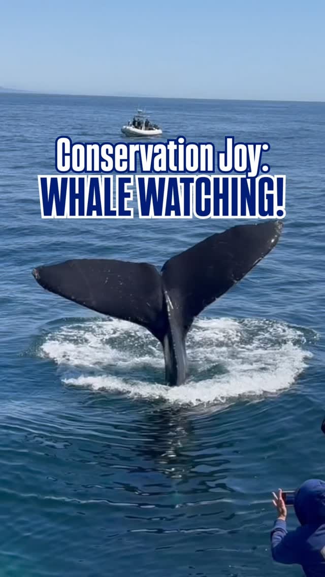 Post 7 by Jason Wise on Instagram (video)
