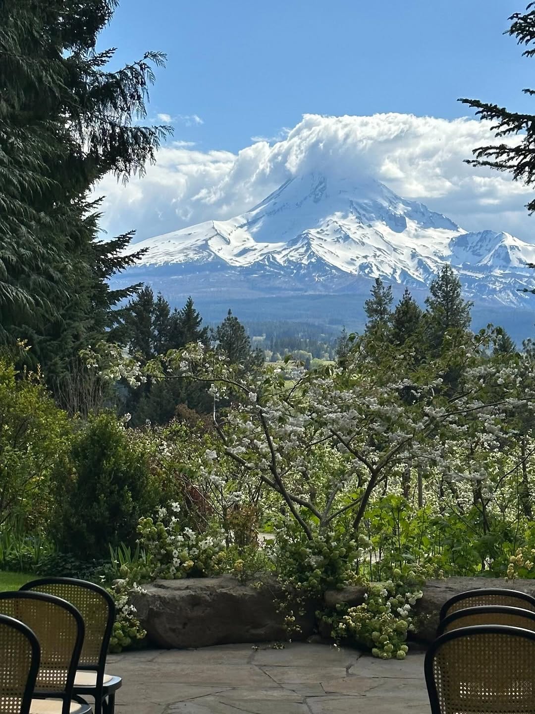 Post 2 by Oregon Floral Designer| Chas Thomas on Instagram (carousel)