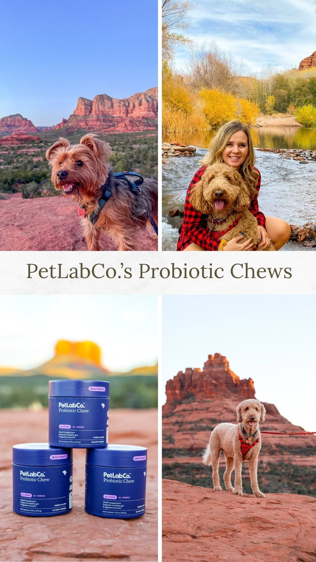 Post 7 by Ashley 🏜️Sedona Arizona Photographer on Instagram (video)
