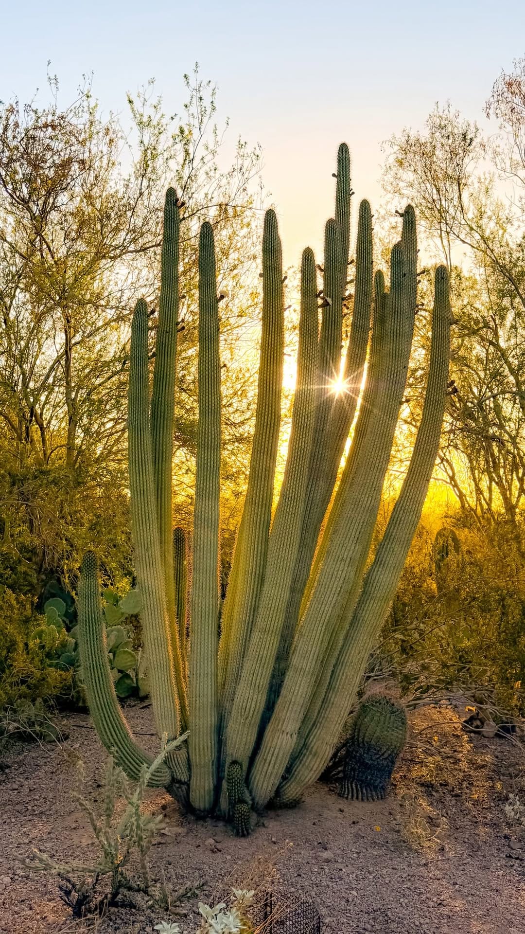Post 1 by Ashley 🏜️Sedona Arizona Photographer on Instagram (video)