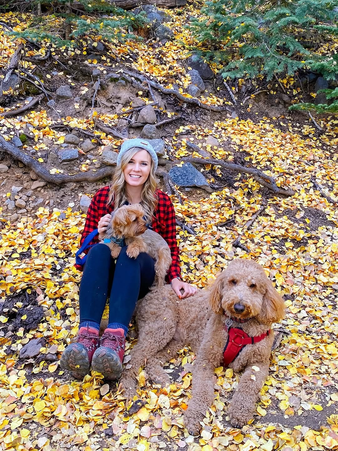 Post 10 by Ashley 🏜️Sedona Arizona Photographer on Instagram (carousel)