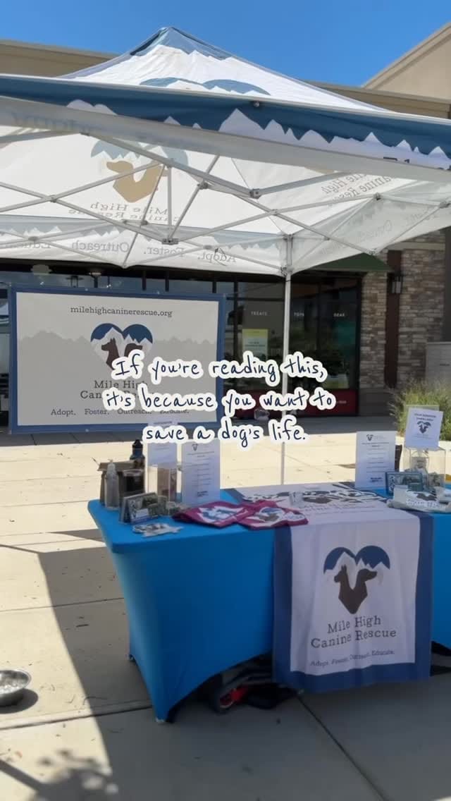 Post 8 by Mile High Canine Rescue on Instagram (video)