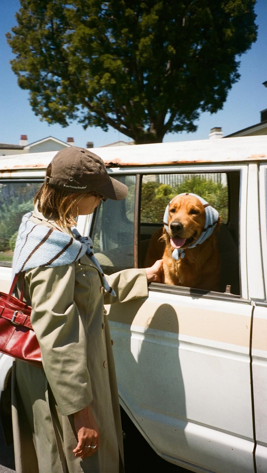 Post 8 by FREN on Instagram (video)