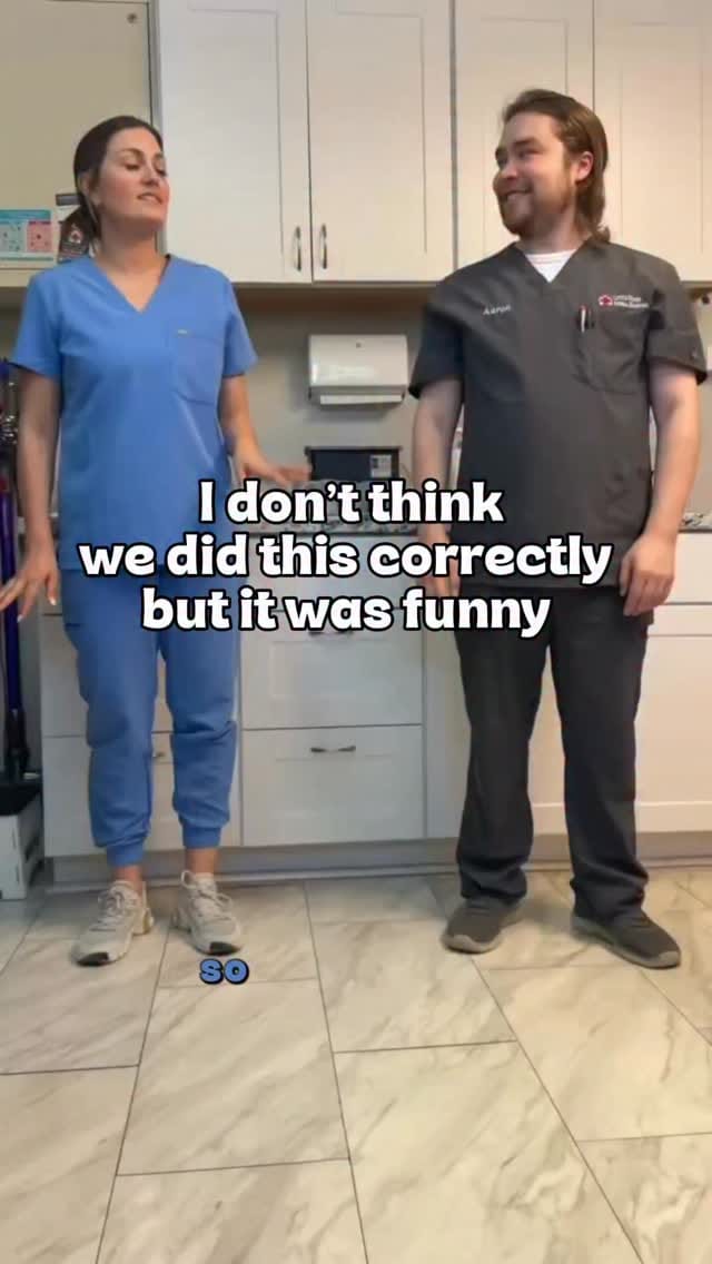 Post 4 by Molly Brinkmann, DVM | Veterinarian on Instagram (video)