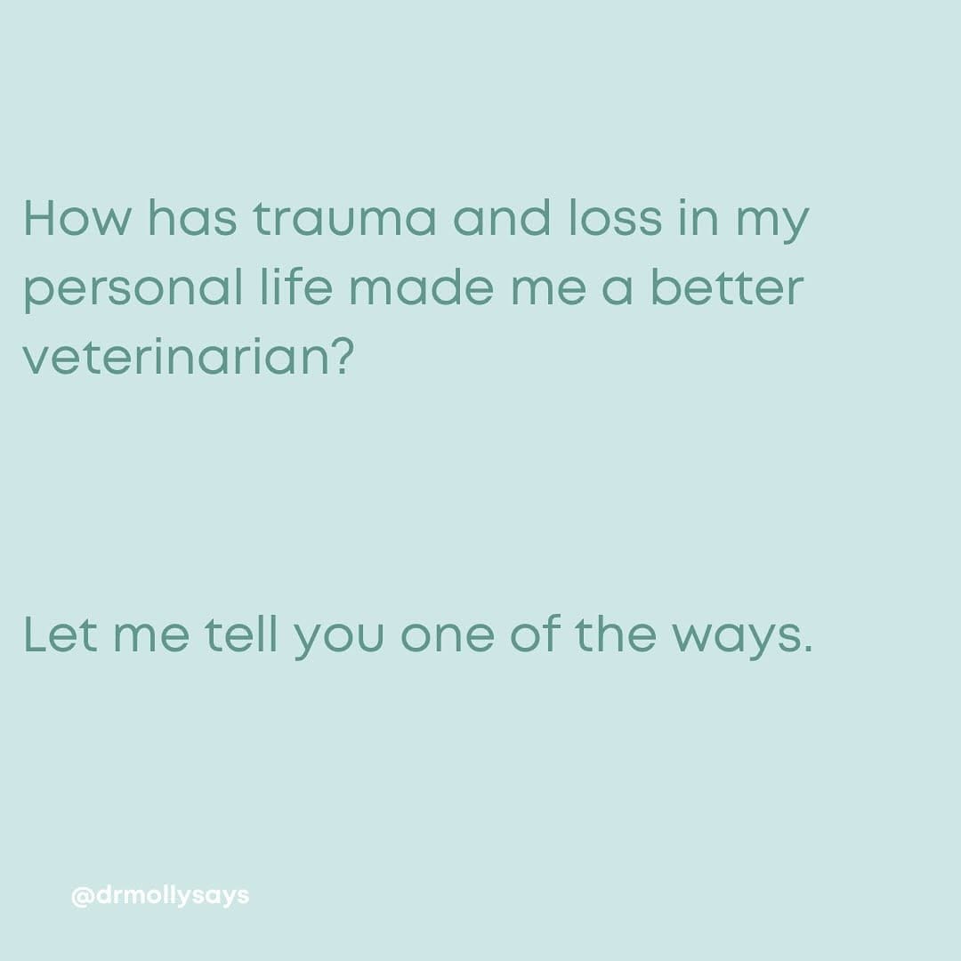 Post 10 by Molly Brinkmann, DVM | Veterinarian on Instagram (carousel)