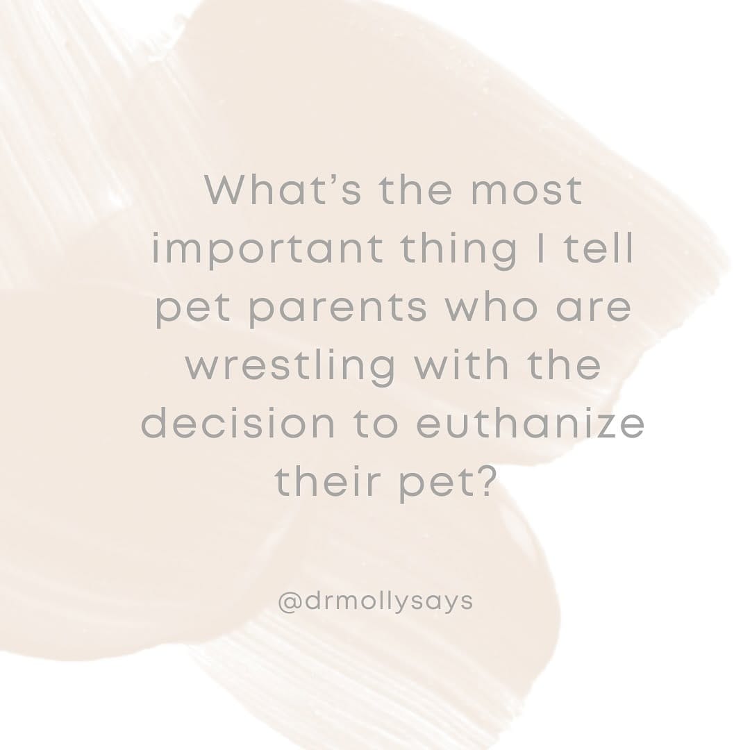 Post 9 by Molly Brinkmann, DVM | Veterinarian on Instagram (carousel)