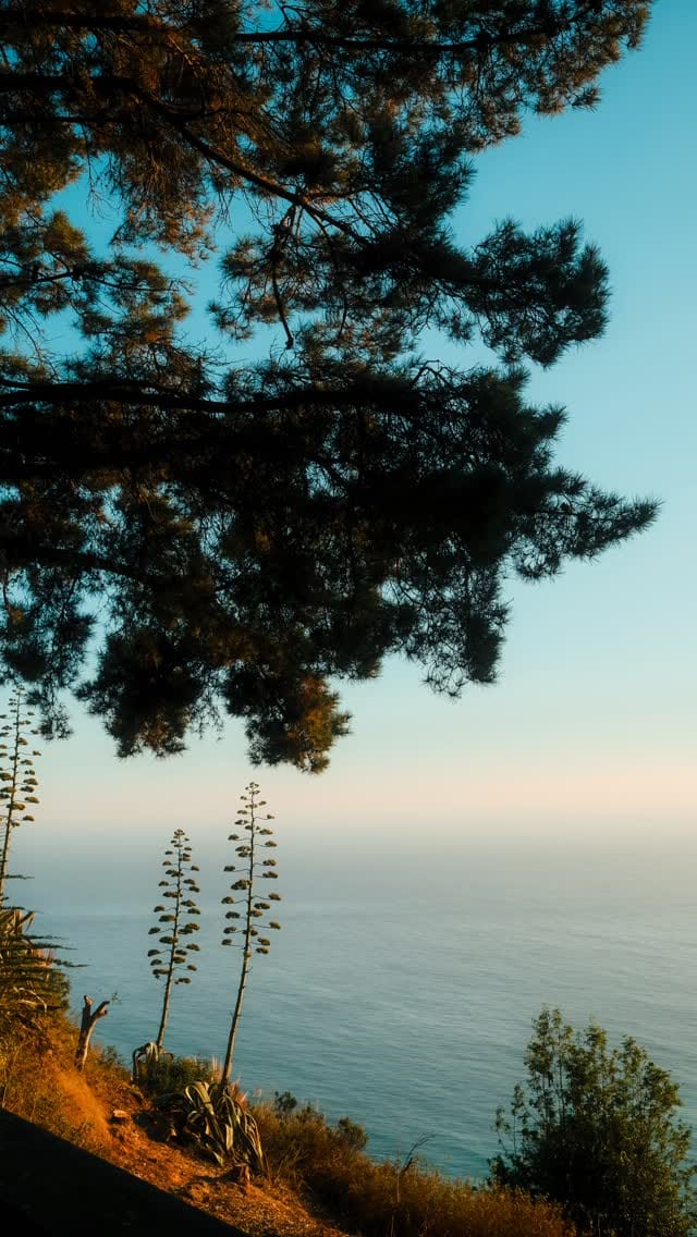 Post 4 by Emma Sharon on Instagram (video)