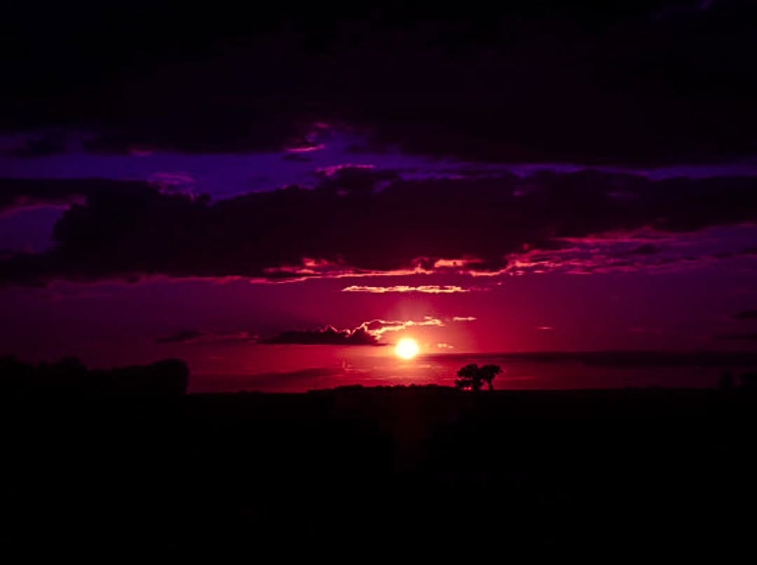 Post 8 by Jason Hannan Jr on Instagram (image)