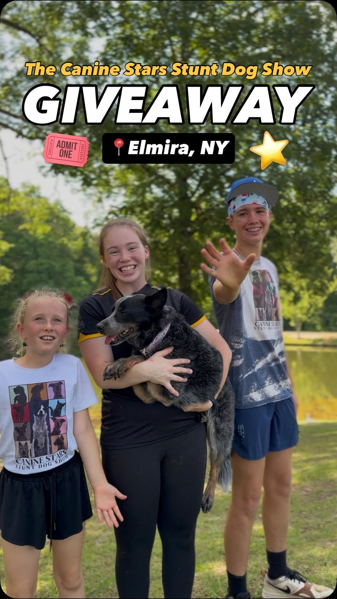 Post 2 by Canine Stars Stunt Dog Show on Instagram (video)