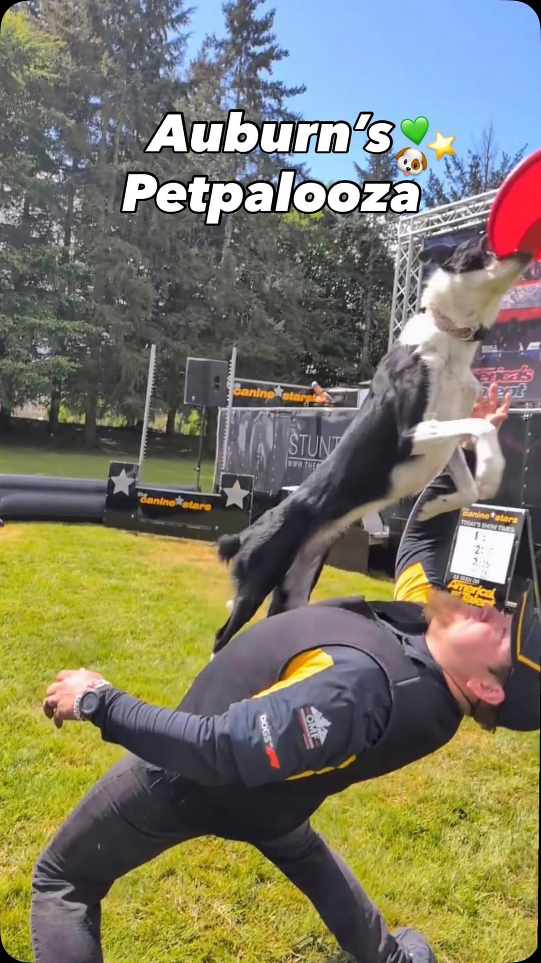 Post 5 by Canine Stars Stunt Dog Show on Instagram (video)