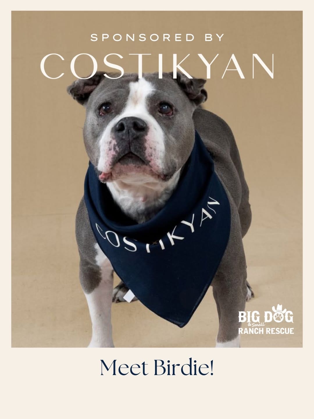 Post 5 by Big Dog Ranch Rescue on Instagram (carousel)