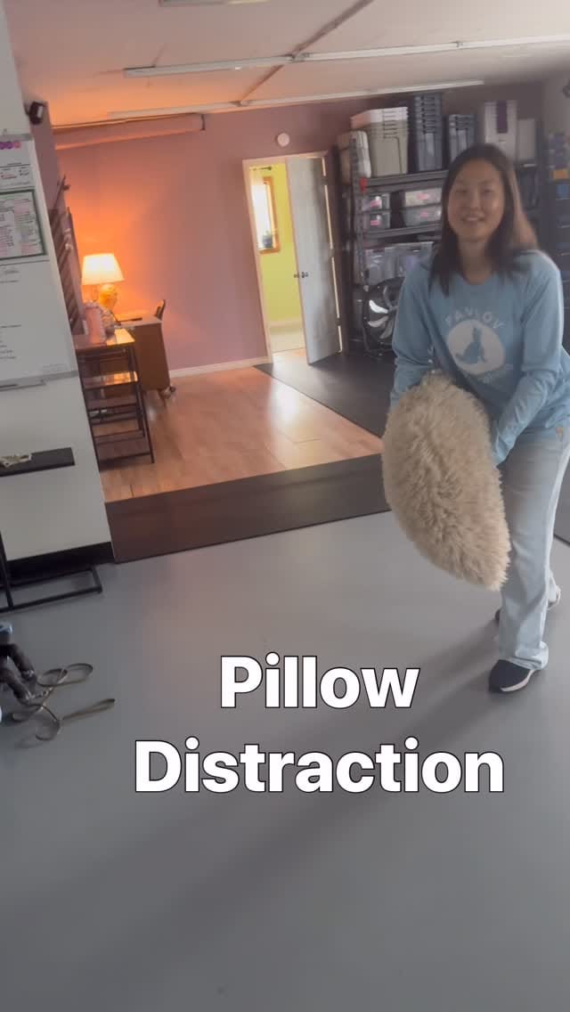 Post 6 by Pavlov Dog Training on Instagram (video)