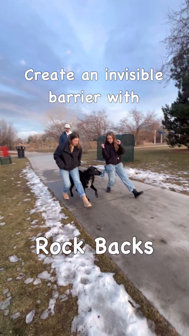 Post 10 by Pavlov Dog Training on Instagram (video)