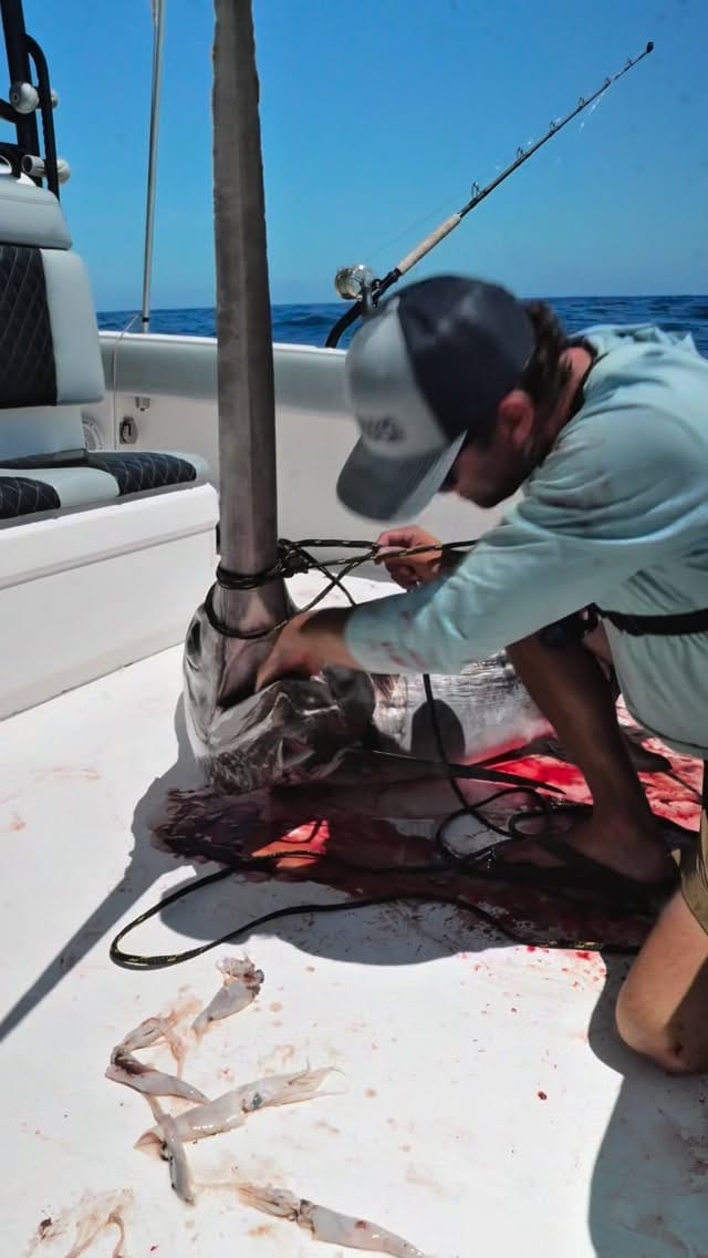 Post 5 by Southern Catch Outfitters on Instagram (video)