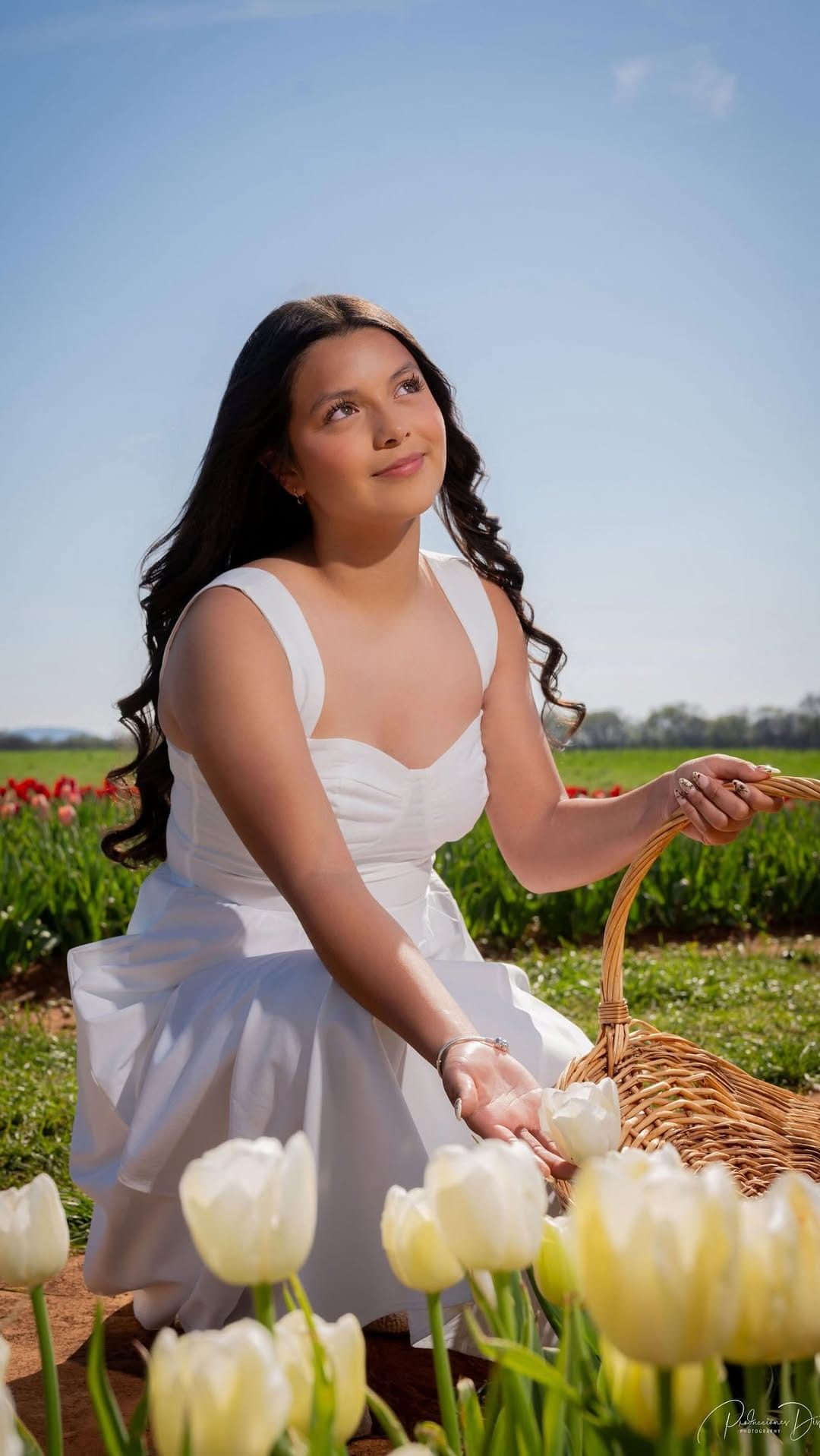 Post 3 by Luis Martinez | Atlanta Quinceañera and Wedding Photographer on Instagram (video)
