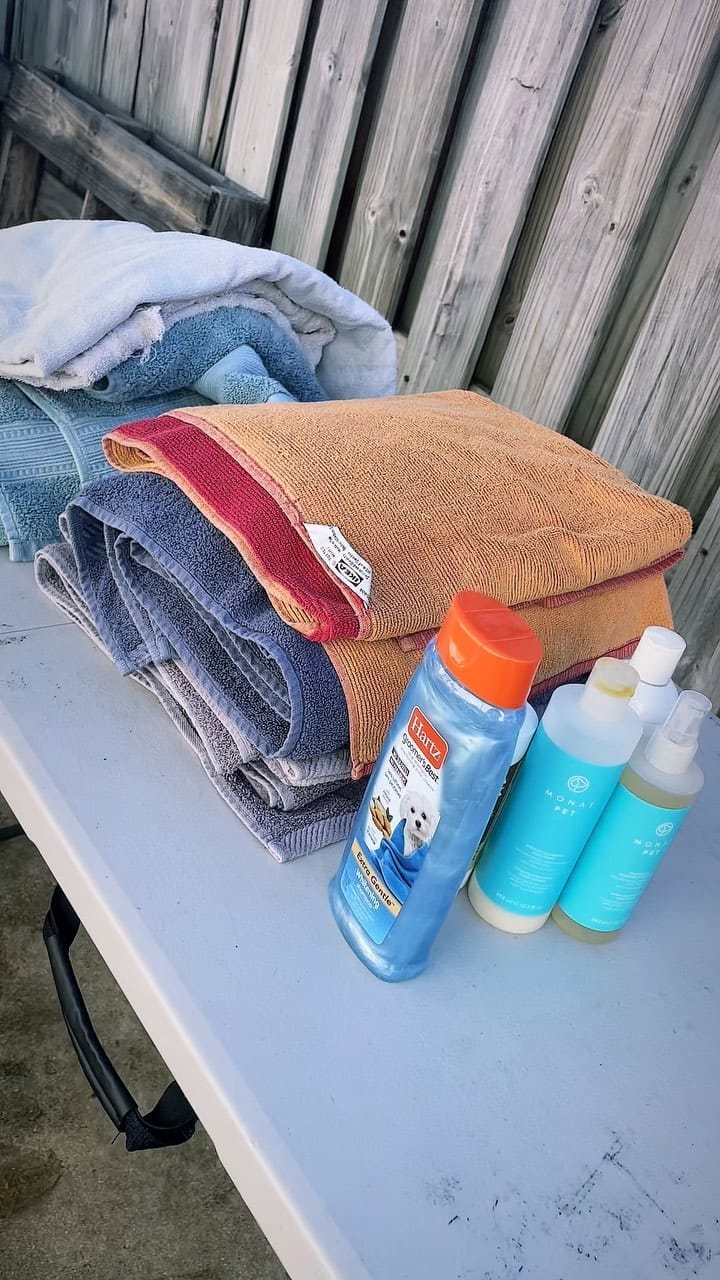 Post 6 by 305 Frenchies.com , LLC. on Instagram (video)
