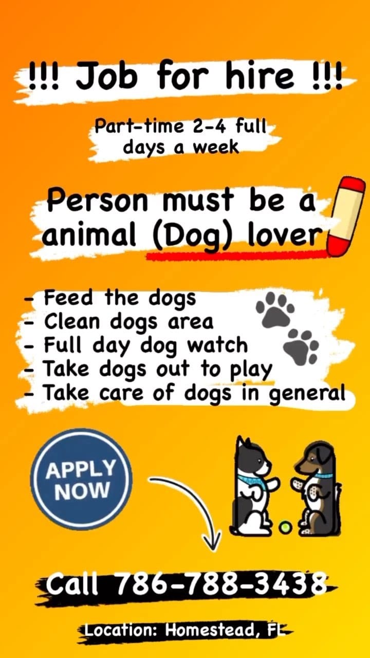 Post 5 by 305 Frenchies.com , LLC. on Instagram (video)