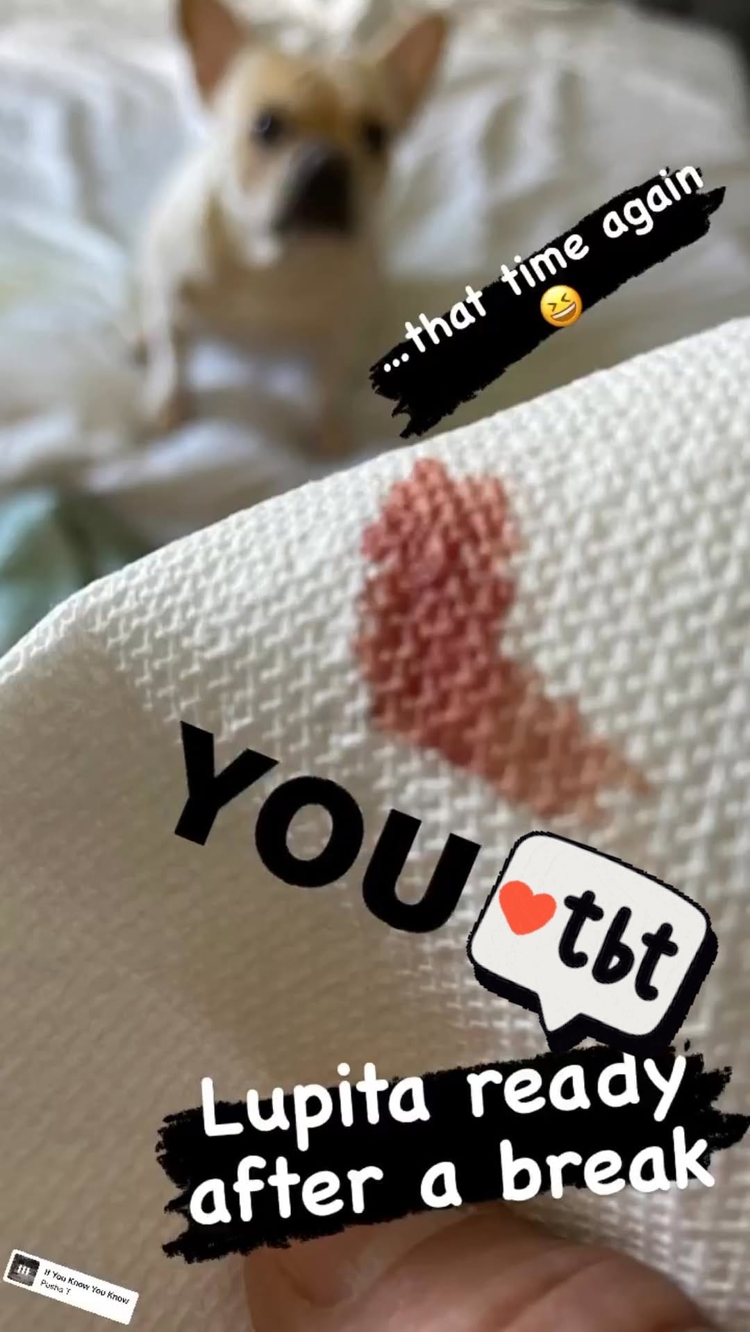 Post 2 by 305 Frenchies.com , LLC. on Instagram (video)