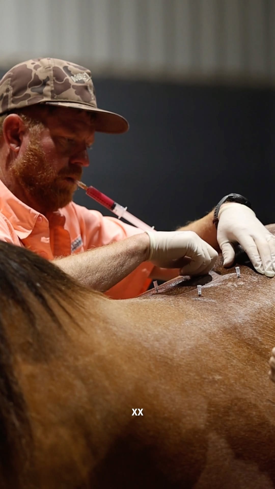 Post 1 by Double X Veterinary Services on Instagram (video)