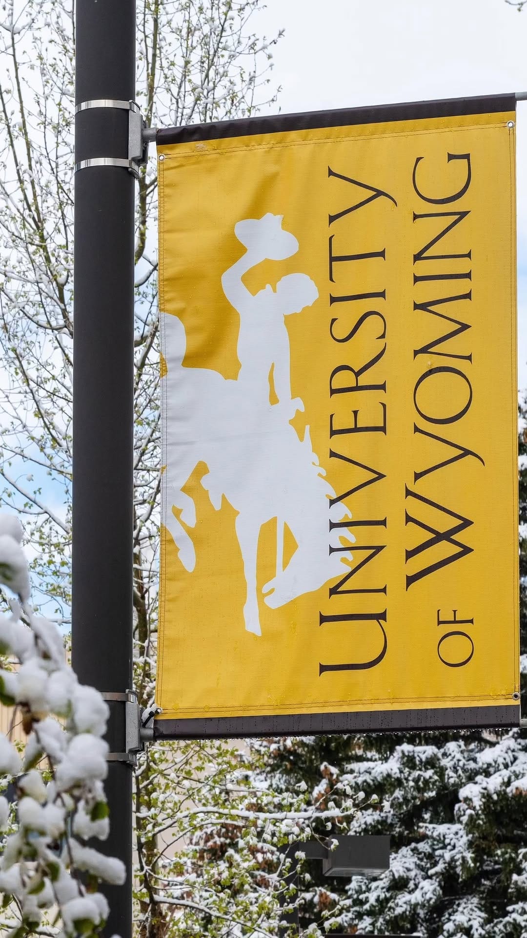 Post 1 by University of Wyoming on Instagram (video)