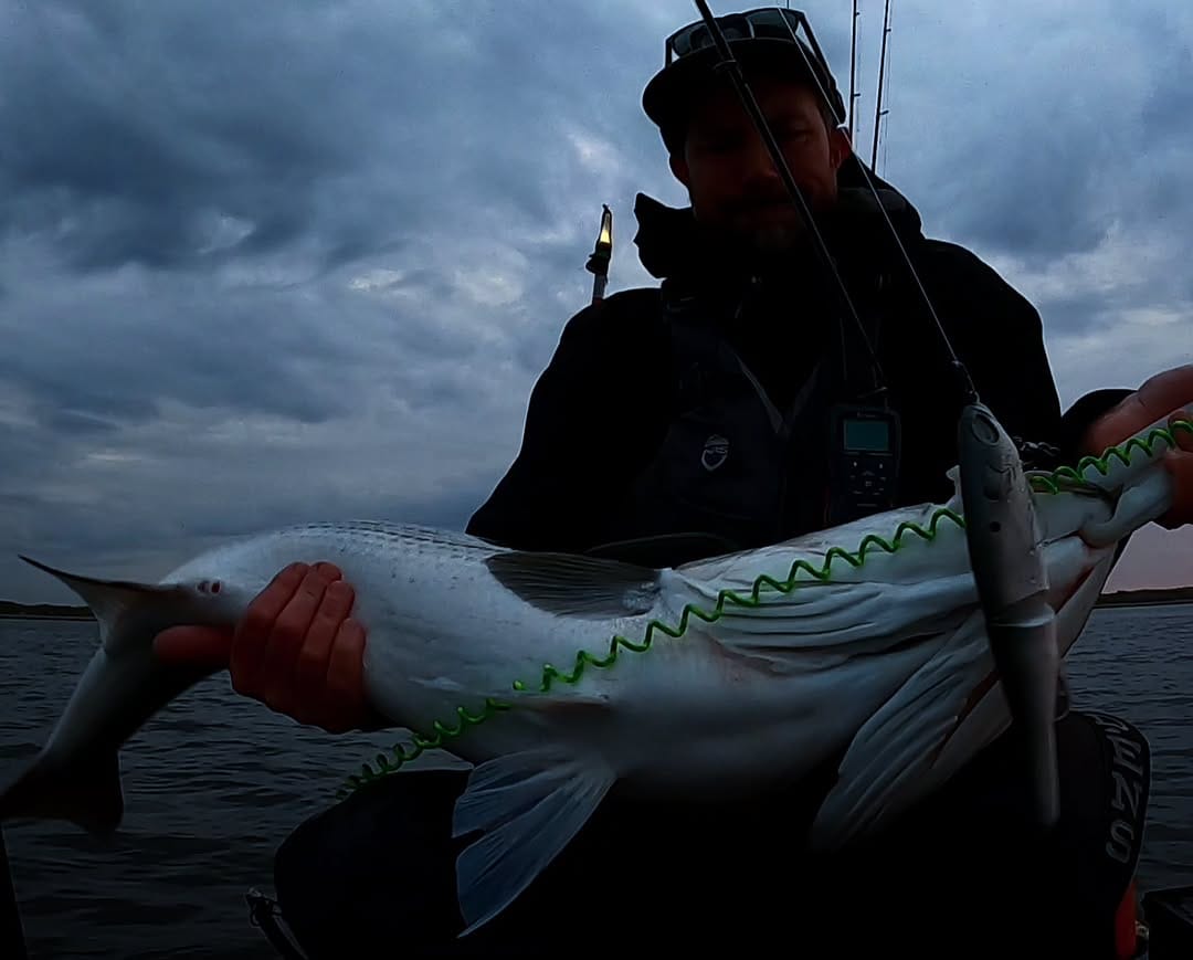 Post 4 by CT Fish Nerd - Kayak Fishing on Instagram (image)