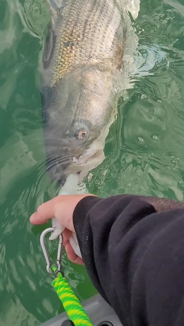 Post 2 by CT Fish Nerd - Kayak Fishing on Instagram (video)