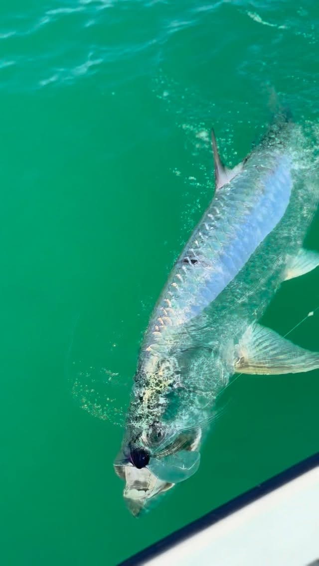 Post 2 by Ken Diaz on Instagram (video)