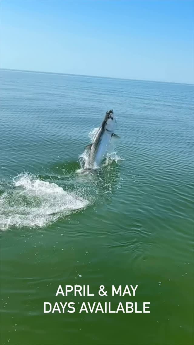 Post 5 by Ken Diaz on Instagram (video)