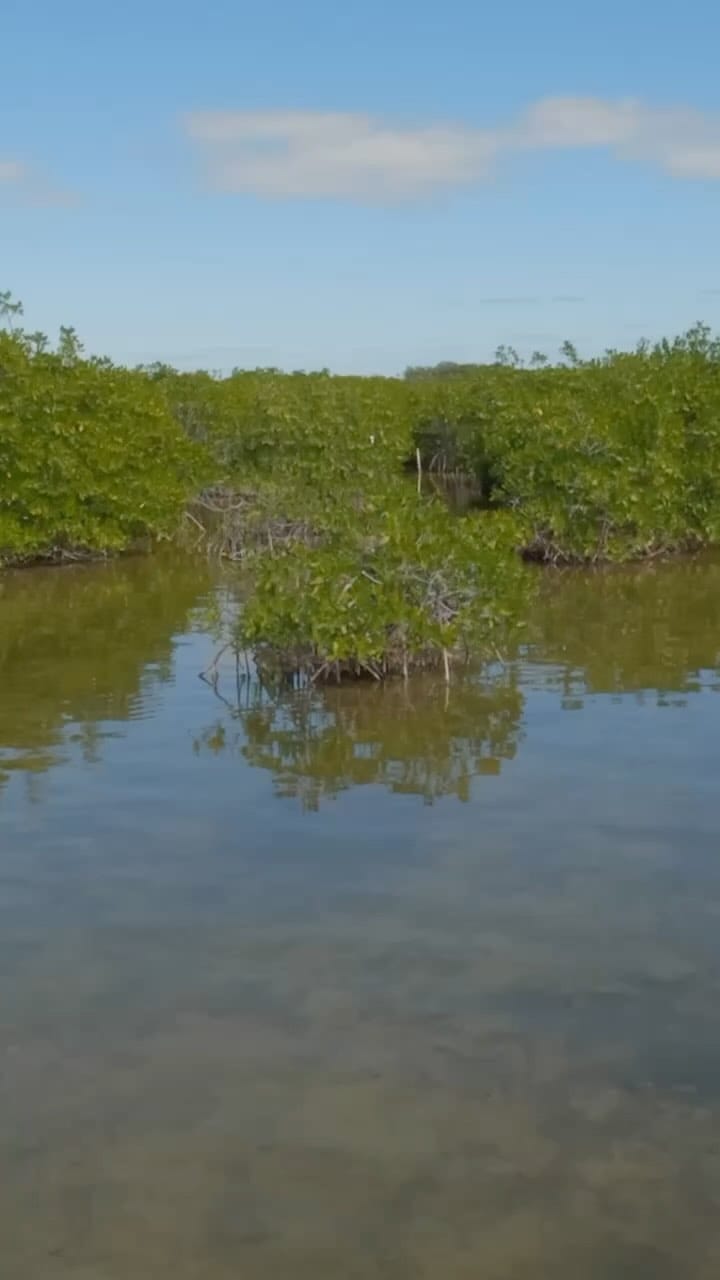 Post 9 by Bone collector Kayak Fishing on Instagram (video)