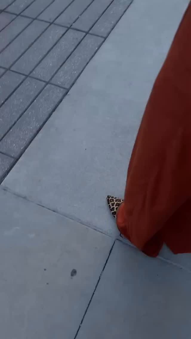 Post 8 by Percy Hampton on Instagram (video)