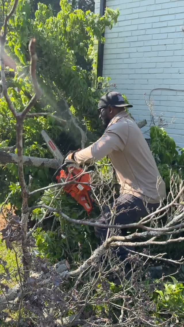 Post 4 by Percy Hampton on Instagram (video)