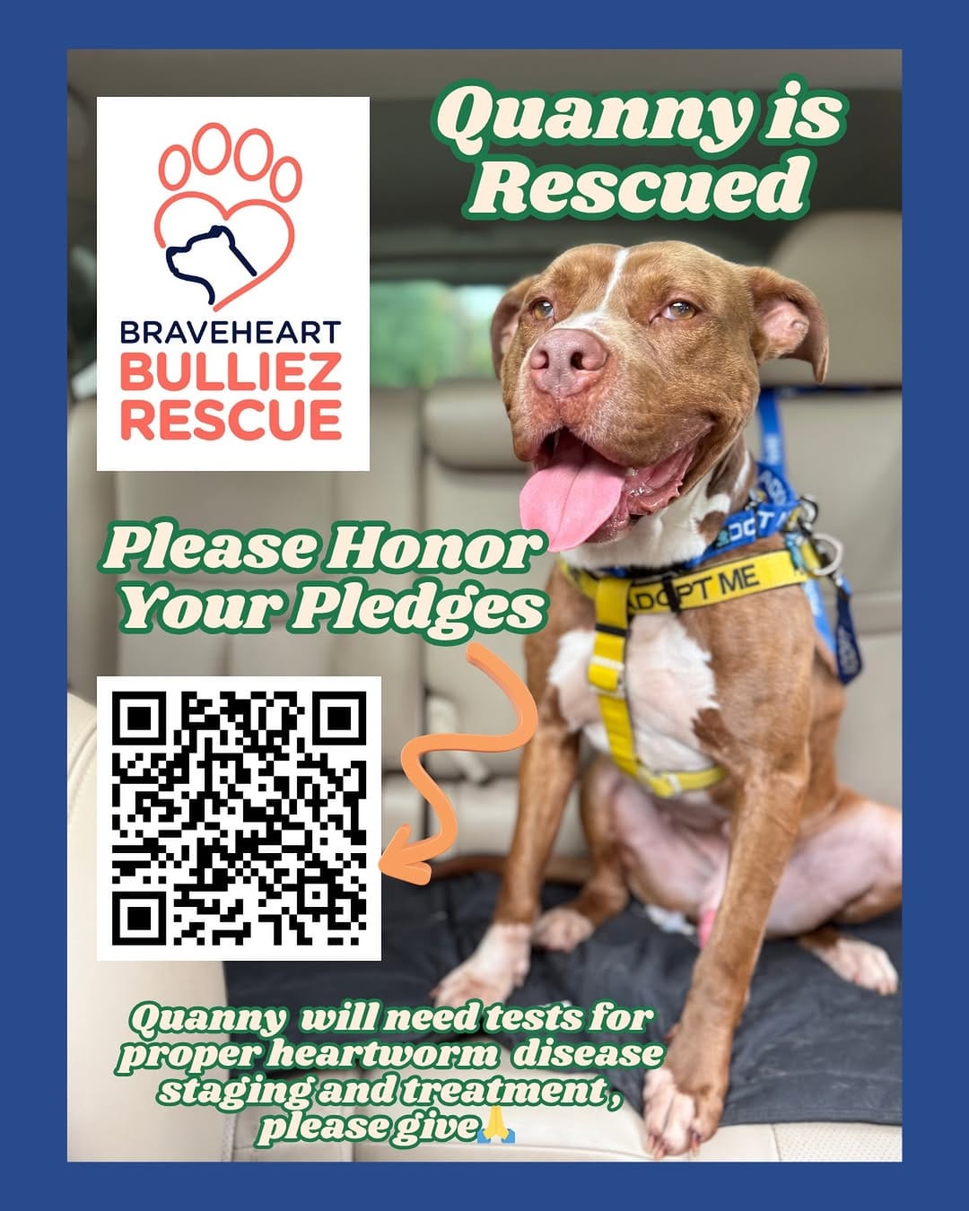 Post 4 by Braveheart Bulliez Rescue on Instagram (image)