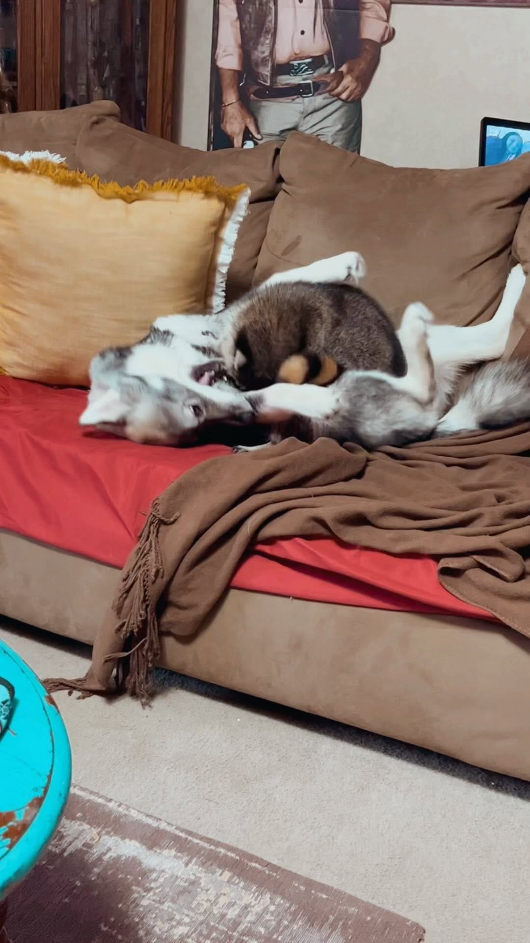 Post 10 by Kasey Merced on Instagram (video)