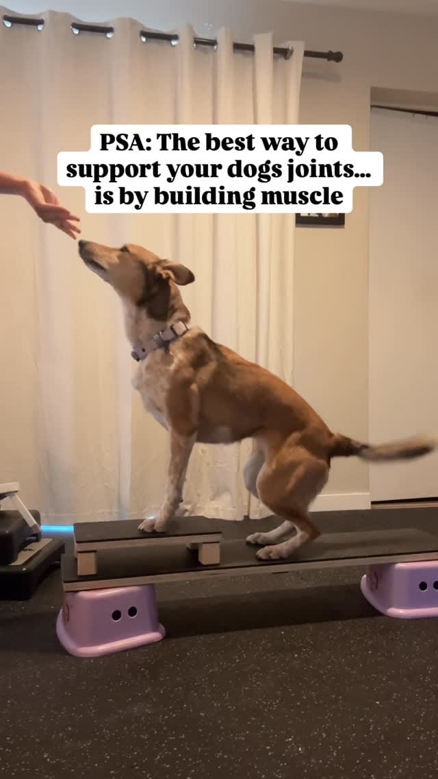 Post 1 by Marissa | Kota + Aspen on Instagram (video)