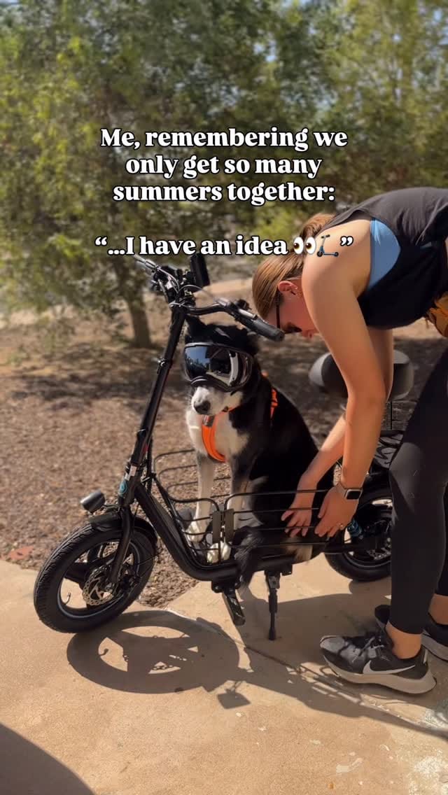 Post 7 by Marissa | Kota + Aspen on Instagram (video)