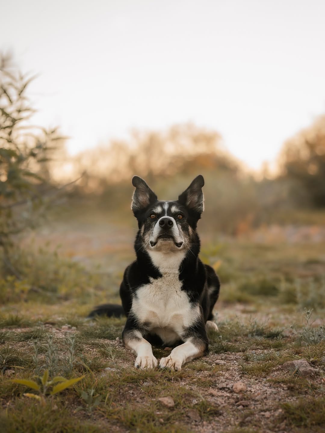 Post 5 by Marissa | Kota + Aspen on Instagram (image)