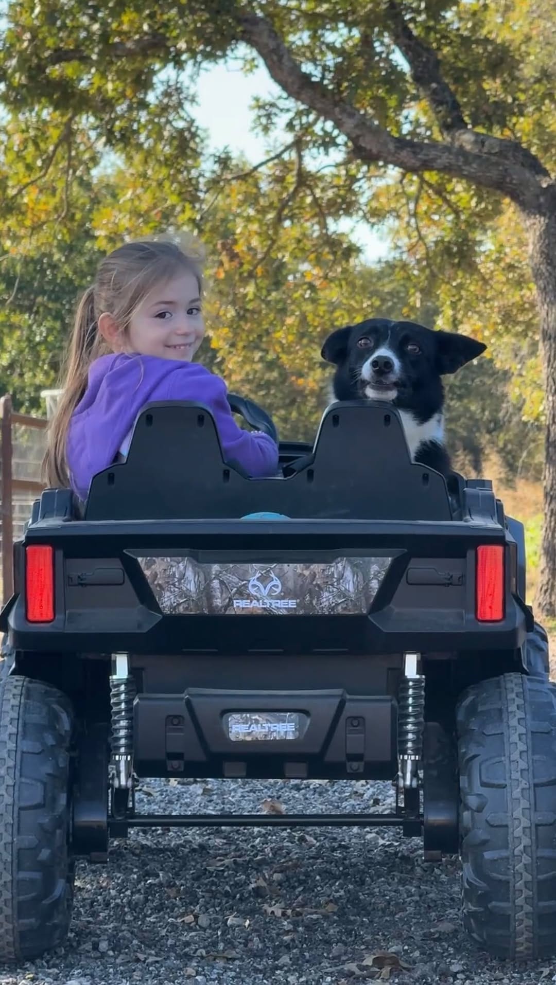 Post 2 by Moura Stock Dogs on Instagram (video)