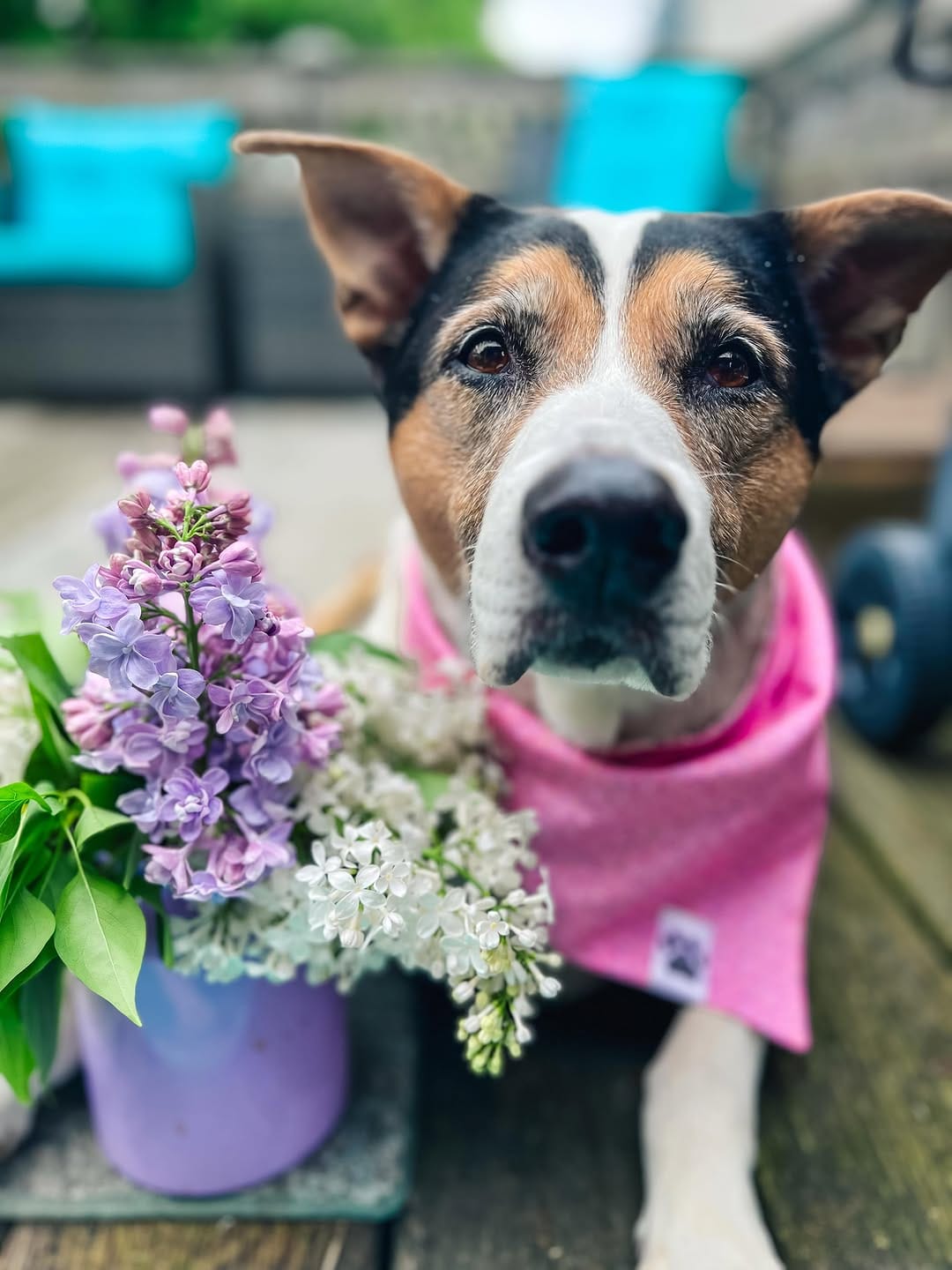 Post 4 by Daisy "BUGGIE" 🌼 on Instagram (image)